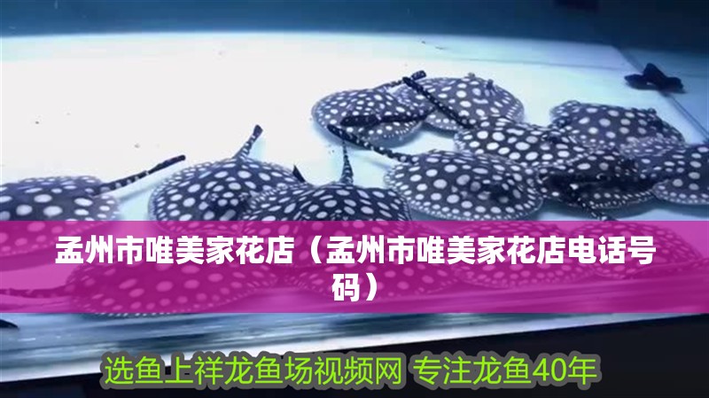 孟州市唯美家花店（孟州市唯美家花店電話號碼）