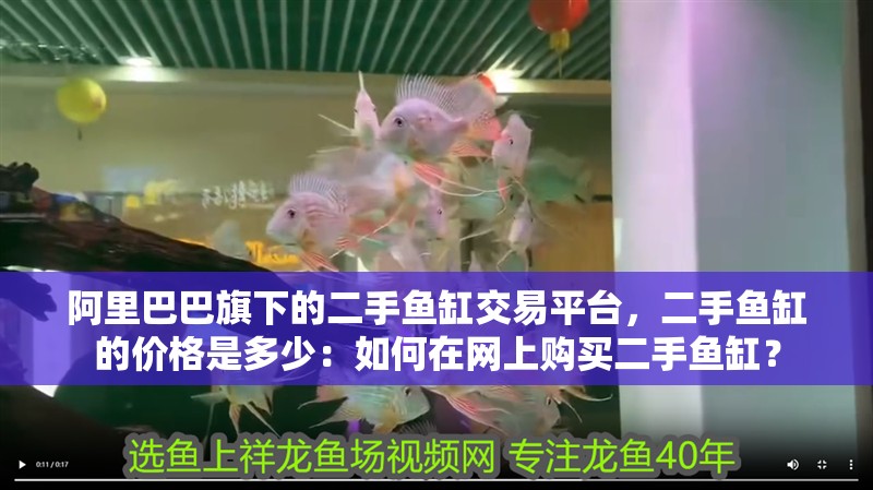 阿里巴巴旗下的二手魚缸交易平臺，二手魚缸的價格是多少：如何在網上購買二手魚缸？ 阿里巴巴旗下的二手魚缸交易平臺，二手魚缸的價格是多少：如何在網上購買二手魚缸？ 魚缸百科
