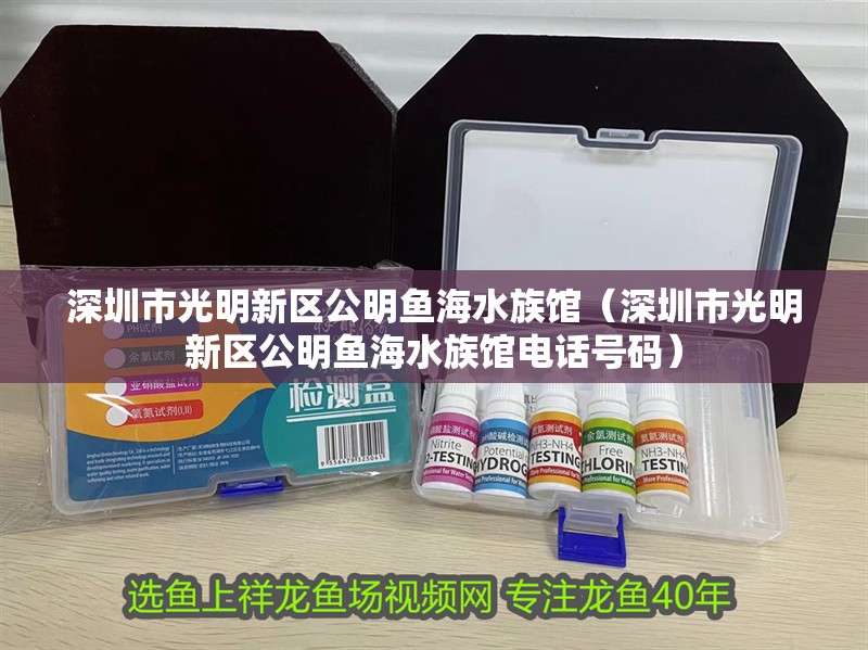 深圳市光明新區(qū)公明魚海水族館（深圳市光明新區(qū)公明魚海水族館電話號碼） 深圳市光明新區(qū)公明魚海水族館（深圳市光明新區(qū)公明魚海水族館電話號碼） 全國水族館企業(yè)名錄