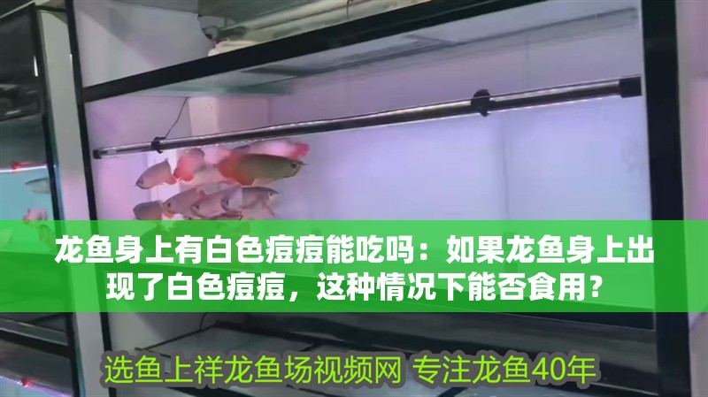龍魚身上有白色痘痘能吃嗎：如果龍魚身上出現了白色痘痘，這種情況下能否食用？ 龍魚身上有白色痘痘能吃嗎：如果龍魚身上出現了白色痘痘，這種情況下能否食用？ 龍魚百科