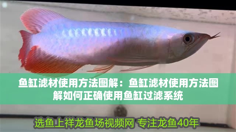 魚(yú)缸濾材使用方法圖解：魚(yú)缸濾材使用方法圖解如何正確使用魚(yú)缸過(guò)濾系統(tǒng)
