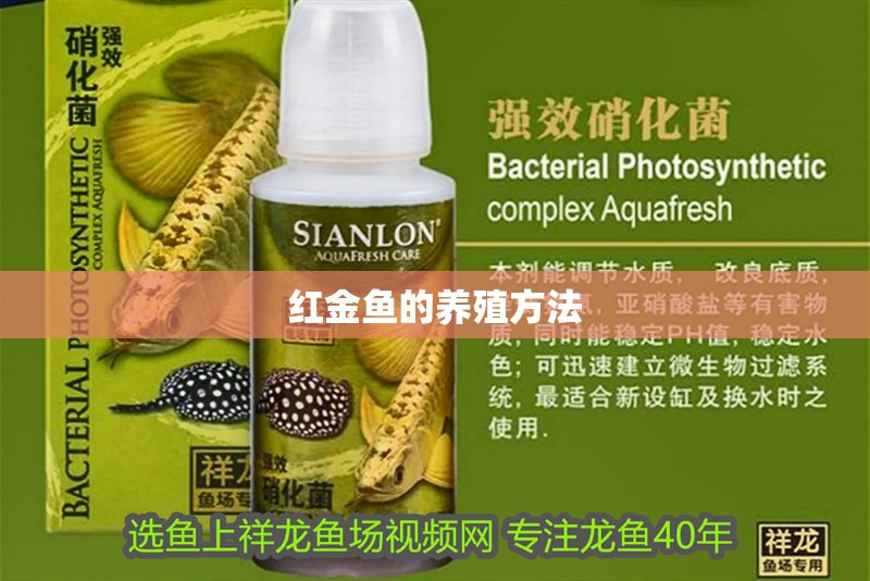 魚缸用增氧泵價格是多少:魚缸增氧機-xtrac增氧機-xtrac增氧機 紅金魚的養殖方法 龍魚論壇 紅金魚的養殖方法 紅金魚的養殖方法 龍魚論壇