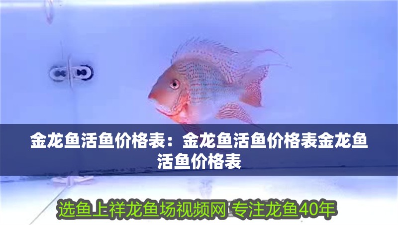 金龍魚活魚價格表：金龍魚活魚價格表金龍魚活魚價格表