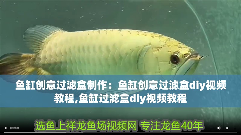 魚缸創意過濾盒制作：魚缸創意過濾盒diy視頻教程,魚缸過濾盒diy視頻教程