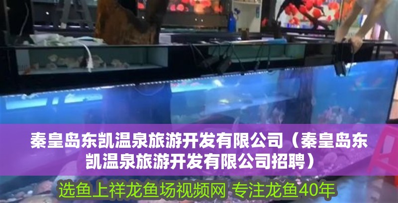 秦皇島東凱溫泉旅游開發有限公司（秦皇島東凱溫泉旅游開發有限公司招聘）