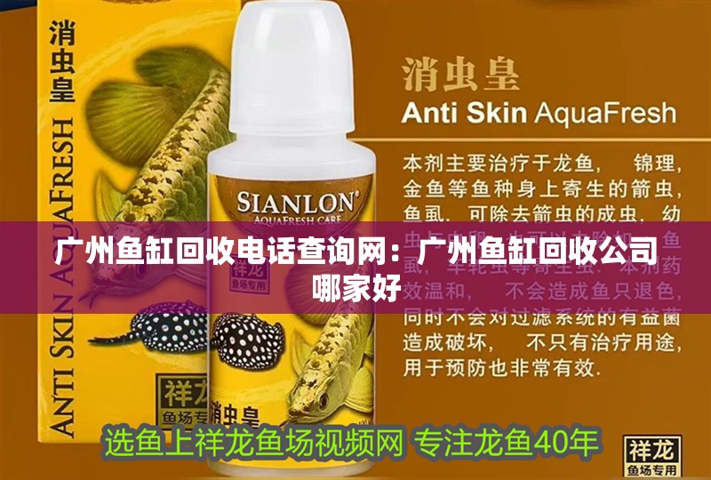 我的虎魚真菌感染了要怎么處理 廣州魚缸回收電話查詢網:廣州魚缸回收公司哪家好 魚缸百科 廣州魚缸回收電話查詢網:廣州魚缸回收公司哪家好 廣州魚缸回收電話查詢網:廣州魚缸回收公司哪家好 魚缸百科