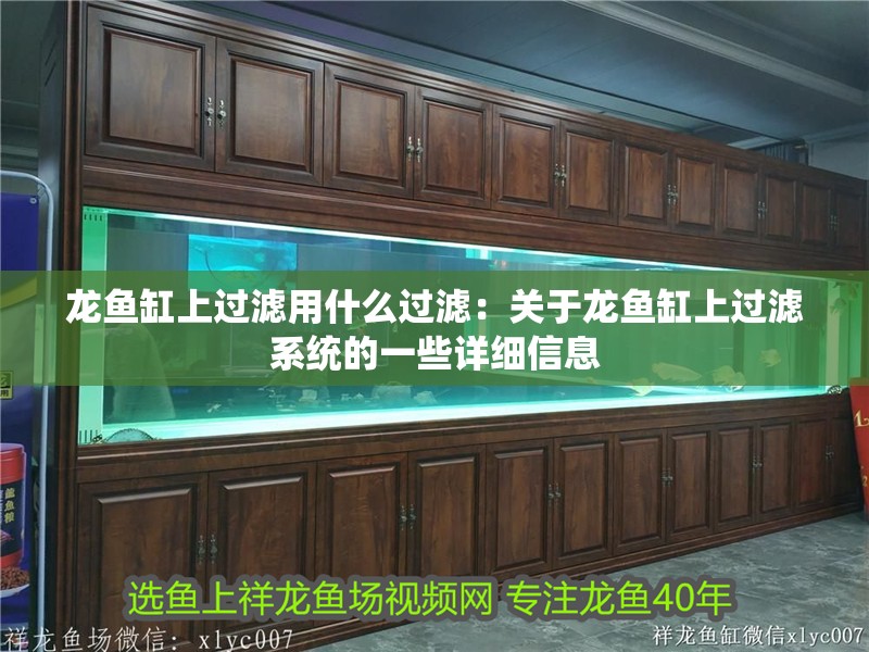 龍魚缸上過濾用什么過濾：關于龍魚缸上過濾系統的一些詳細信息