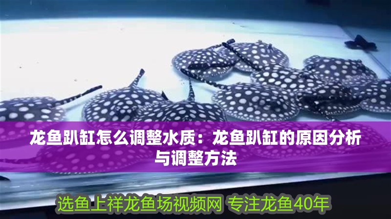 龍魚趴缸怎么調整水質：龍魚趴缸的原因分析與調整方法