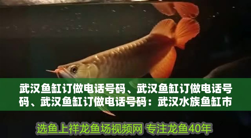 武漢魚缸訂做電話號碼、武漢魚缸訂做電話號碼、武漢魚缸訂做電話號碼：武漢水族魚缸市場