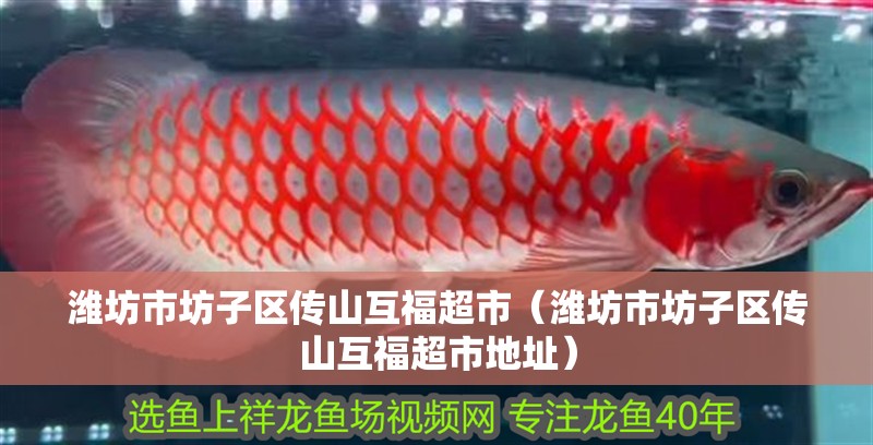 濰坊市坊子區傳山互福超市（濰坊市坊子區傳山互福超市地址）