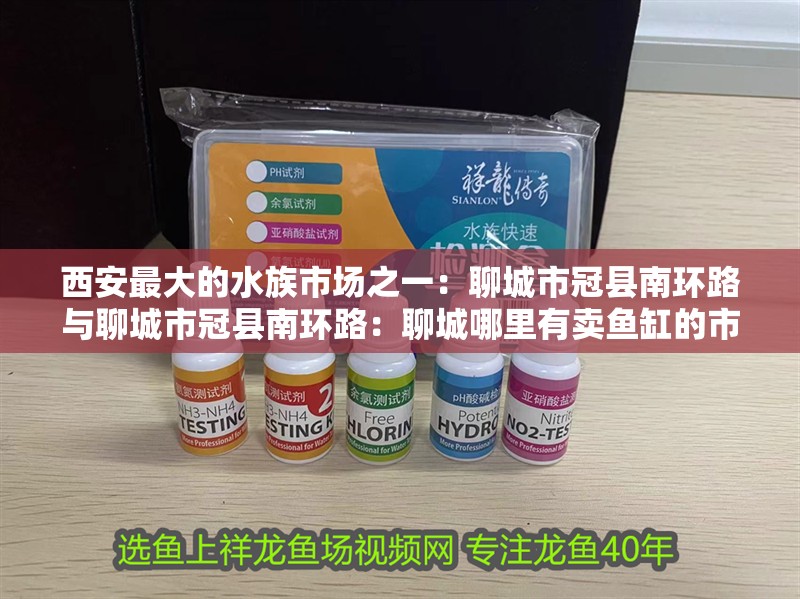 西安最大的水族市場之一：聊城市冠縣南環(huán)路與聊城市冠縣南環(huán)路：聊城哪里有賣魚缸的市場