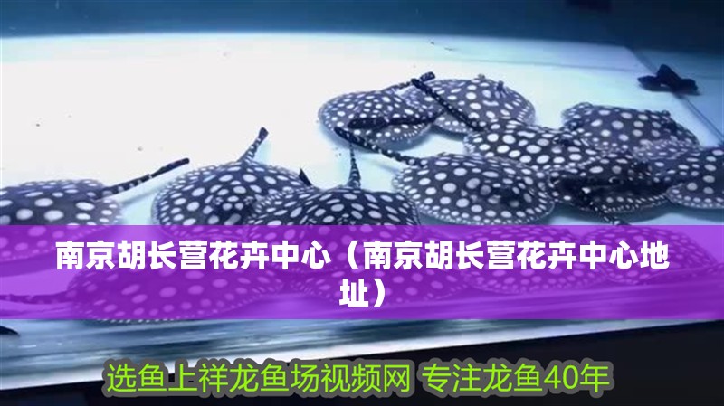 <strong><mark>南京</mark></strong>胡長營花卉中心（<strong><mark>南京</mark></strong>胡長營花卉中心地址）