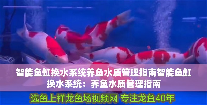 智能魚缸換水系統養魚水質管理指南智能魚缸換水系統：養魚水質管理指南