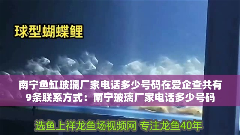 南寧魚缸玻璃廠家電話多少號碼在愛企查共有9條聯(lián)系方式：南寧玻璃廠家電話多少號碼