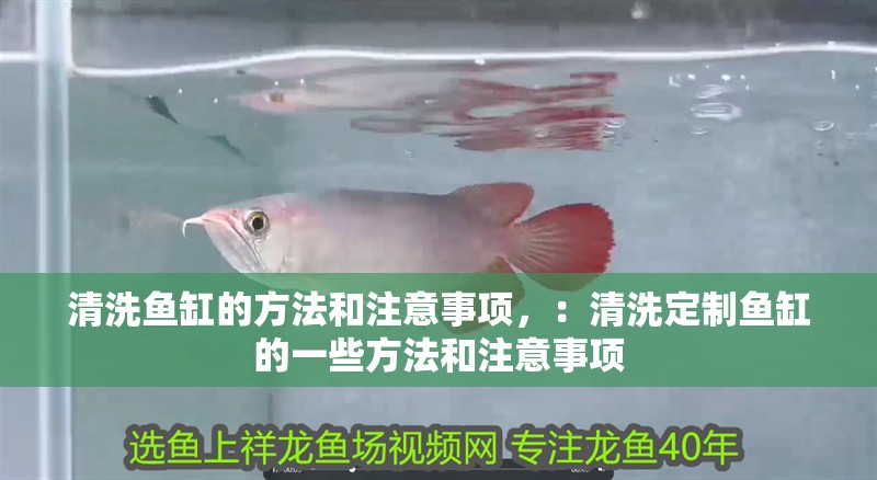 清洗魚缸的方法和注意事項，：清洗定制魚缸的一些方法和注意事項