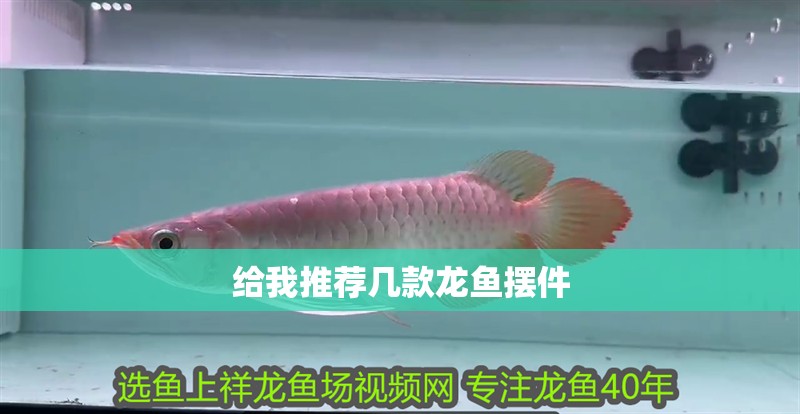 給我推薦幾款龍魚擺件