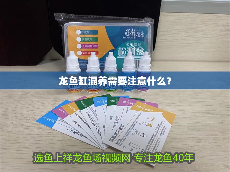 龍魚缸混養需要注意什么？