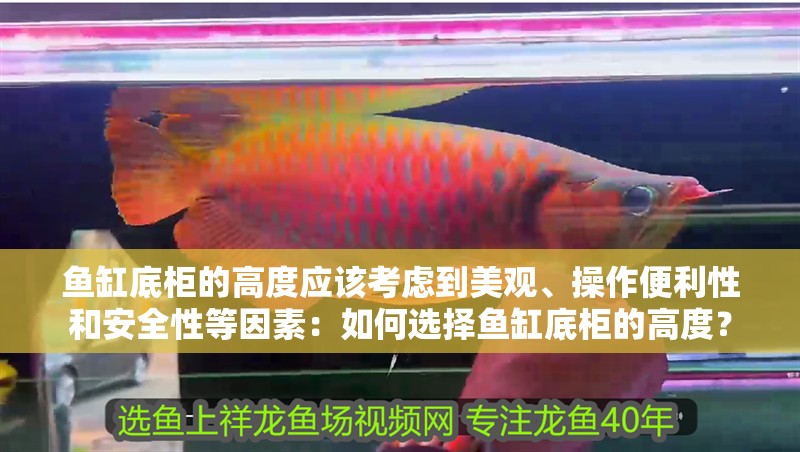 魚缸過濾器選購指南:自制魚缸過濾器魚缸上置過濾器對于養魚愛好者的必備知識 魚缸底柜的高度應該考慮到美觀、操作便利性和安全性等因素:如何選擇魚缸底柜的高度? 魚缸百科 魚缸底柜的高度應該考慮到美觀、操作便利性和安全性等因素:如何選擇魚缸底柜的高度? 魚缸底柜的高度應該考慮到美觀、操作便利性和安全性等因素:如何選擇魚缸底柜的高度? 魚缸百科