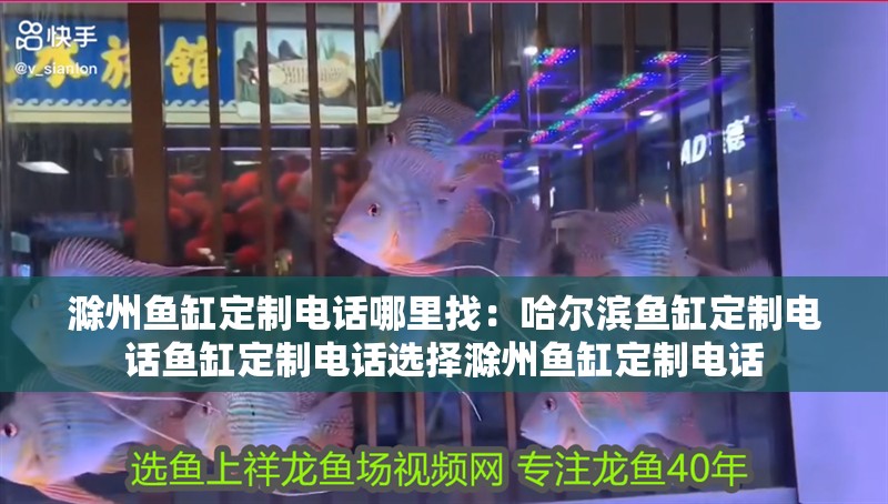 滁州魚缸定制電話哪里找：哈爾濱魚缸定制電話魚缸定制電話選擇滁州魚缸定制電話 滁州魚缸定制電話哪里找：哈爾濱魚缸定制電話魚缸定制電話選擇滁州魚缸定制電話 魚缸百科