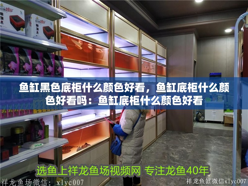 魚缸黑色底柜什么顏色好看，魚缸底柜什么顏色好看嗎：魚缸底柜什么顏色好看