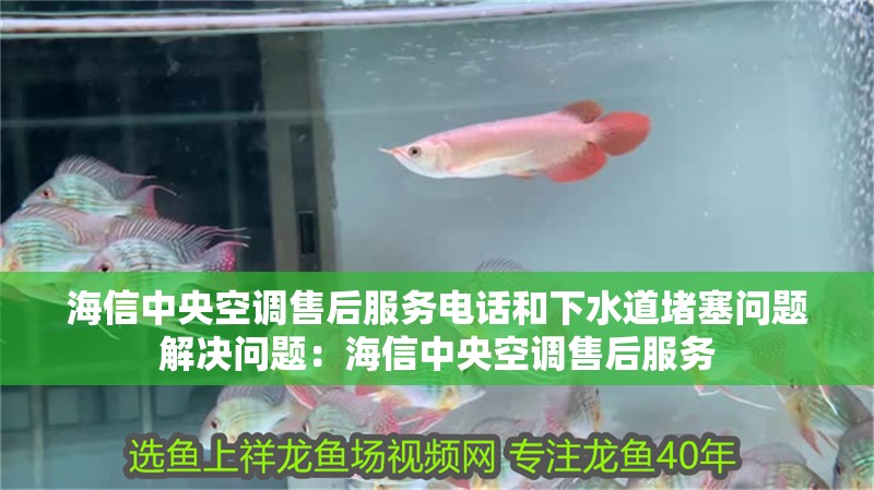 海信中央空調售后服務電話和下水道堵塞問題解決問題：海信中央空調售后服務