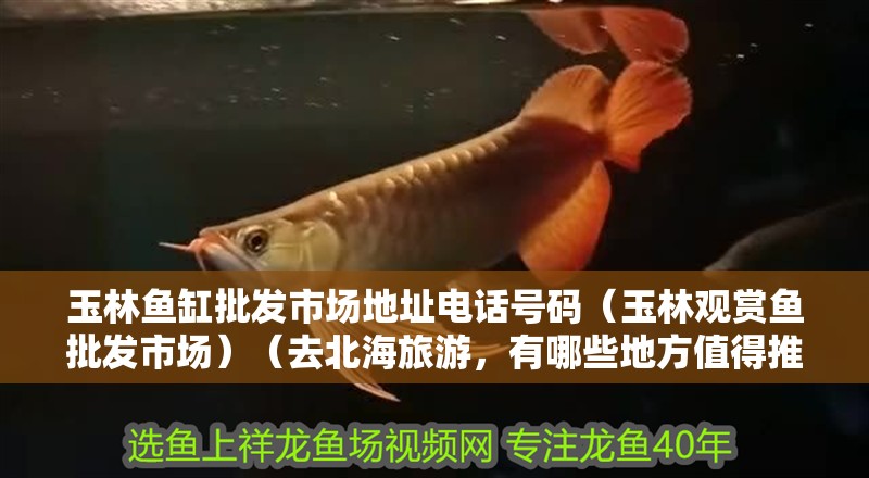 魚缸過濾器選購指南:自制魚缸過濾器魚缸上置過濾器對于養(yǎng)魚愛好者的必備知識 玉林魚缸批發(fā)市場地址電話號碼(玉林觀賞魚批發(fā)市場)(去北海旅游,有哪些地方值得推薦?) 魚缸百科 玉林魚缸批發(fā)市場地址電話號碼(玉林觀賞魚批發(fā)市場)(去北海旅游,有哪些地方值得推薦?) 玉林魚缸批發(fā)市場地址電話號碼(玉林觀賞魚批發(fā)市場)(去北海旅游,有哪些地方值得推薦?) 魚缸百科