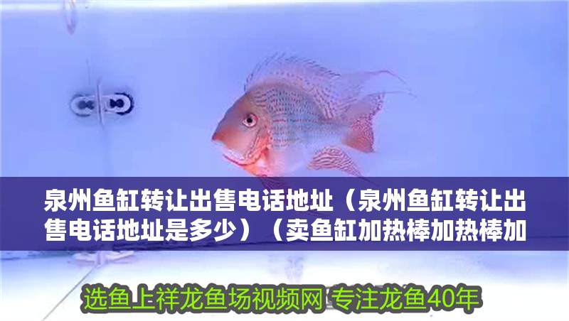 <strong><mark>泉州</mark></strong>魚缸轉讓出售電話地址（<strong><mark>泉州</mark></strong>魚缸轉讓出售電話地址是多少）（賣魚缸加熱棒加熱棒加熱棒加熱棒是最常用的水族硬件）