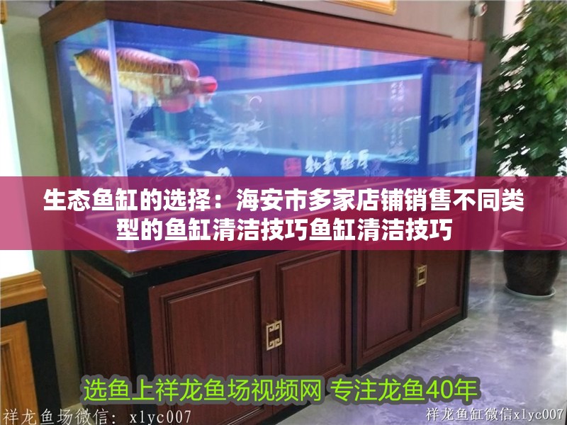 生態(tài)魚缸的選擇：<strong><mark>海安</mark></strong>市多家店鋪銷售不同類型的魚缸清潔技巧魚缸清潔技巧