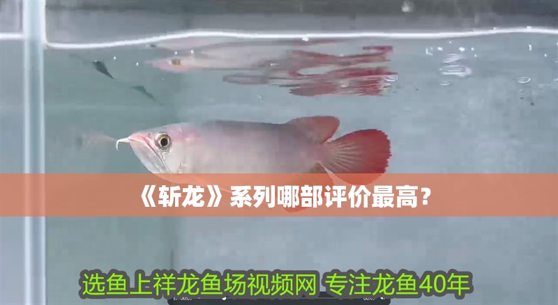 《斬龍》系列哪部評價最高？