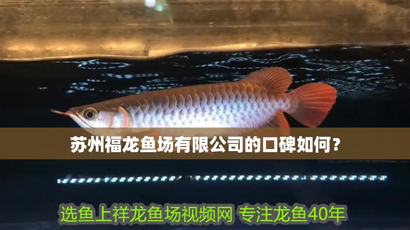 蘇州福龍魚場有限公司的口碑如何？