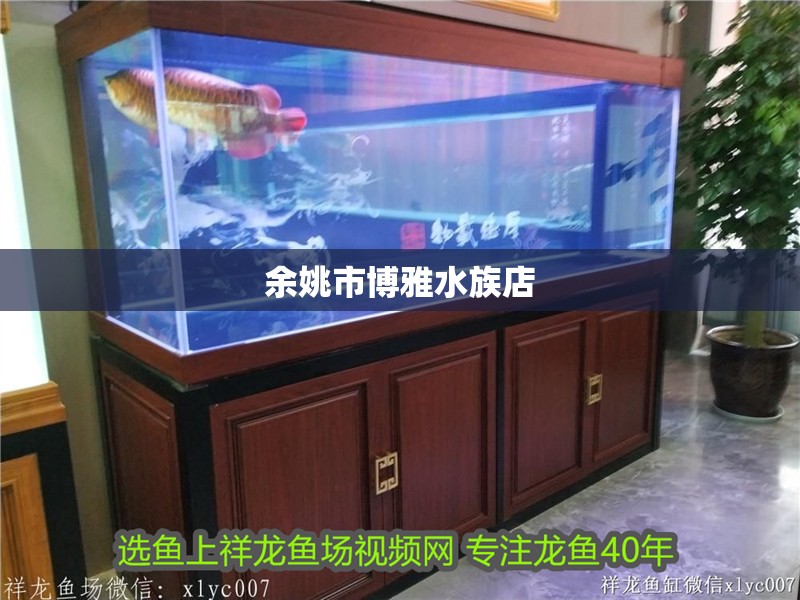 余姚市博雅水族店 余姚市博雅水族店 全國水族館企業(yè)名錄