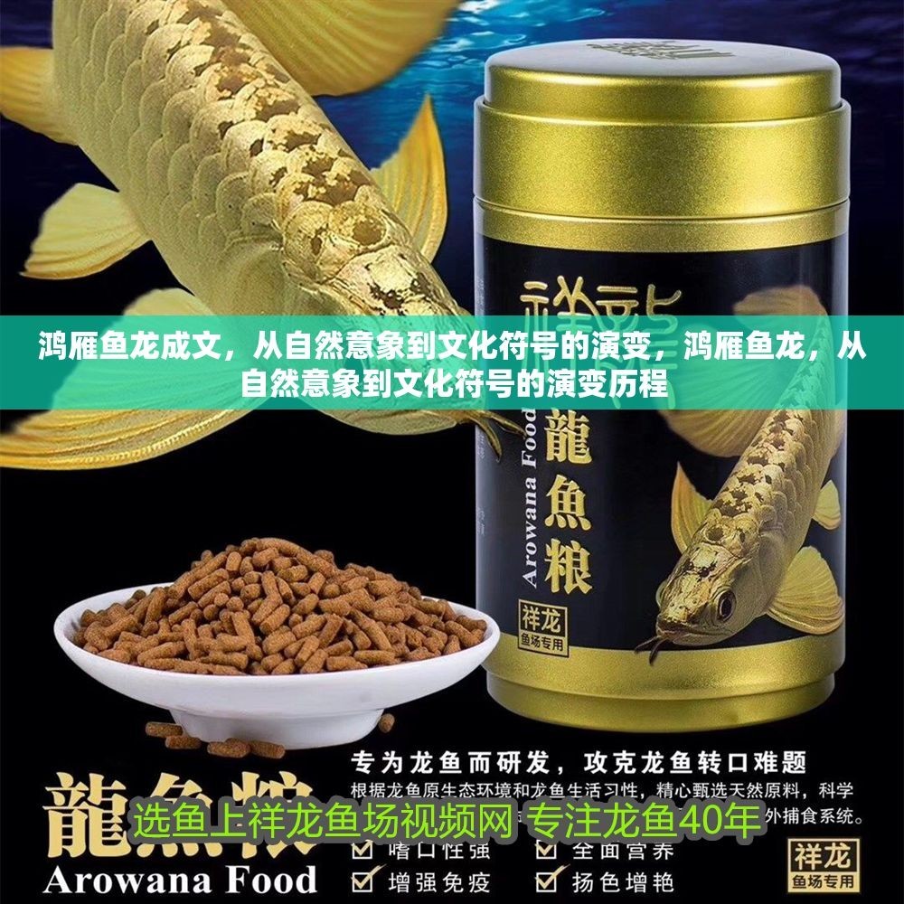 鴻雁魚龍成文，從自然意象到文化符號的演變，鴻雁魚龍，從自然意象到文化符號的演變歷程