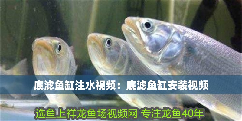 底濾魚缸注水視頻：底濾魚缸安裝視頻