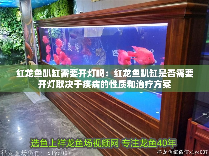 紅龍魚趴缸需要開燈嗎：紅龍魚趴缸是否需要開燈取決于疾病的性質和治療方案