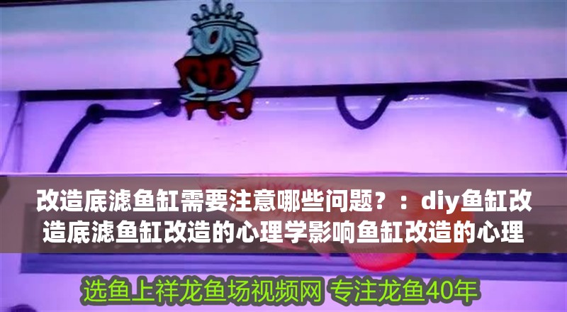 改造底濾魚缸需要注意哪些問題？：diy魚缸改造底濾魚缸改造的心理學影響魚缸改造的心理學
