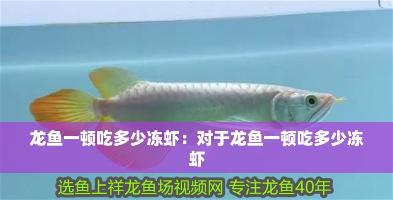龍魚一頓吃多少凍蝦：對于龍魚一頓吃多少凍蝦 龍魚一頓吃多少凍蝦：對于龍魚一頓吃多少凍蝦 龍魚百科