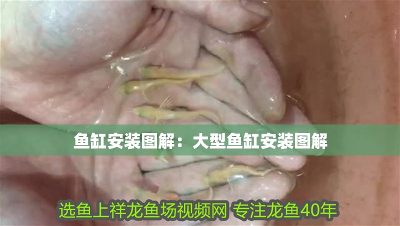 魚缸安裝圖解：大型魚缸安裝圖解