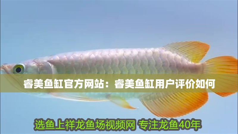 睿美魚缸官方網(wǎng)站：睿美魚缸用戶評(píng)價(jià)如何