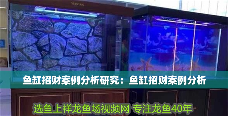 魚缸招財案例分析研究：魚缸招財案例分析 魚缸招財案例分析研究：魚缸招財案例分析 魚缸百科