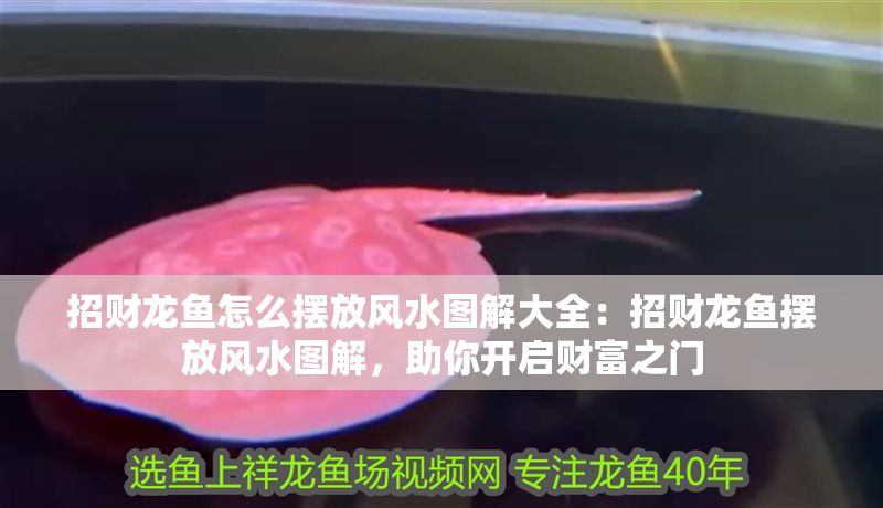 招財龍魚怎么擺放風水圖解大全：招財龍魚擺放風水圖解，助你開啟財富之門