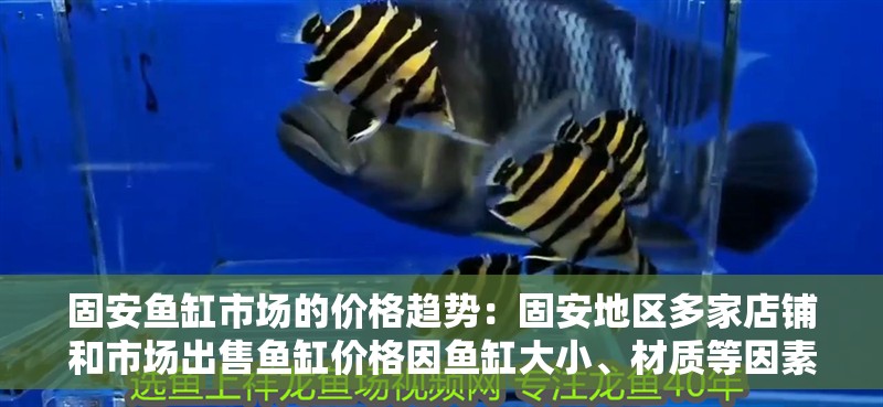 固安魚缸市場的價格趨勢：固安地區多家店鋪和市場出售魚缸價格因魚缸大小、材質等因素不同 固安魚缸市場的價格趨勢：固安地區多家店鋪和市場出售魚缸價格因魚缸大小、材質等因素不同 魚缸百科