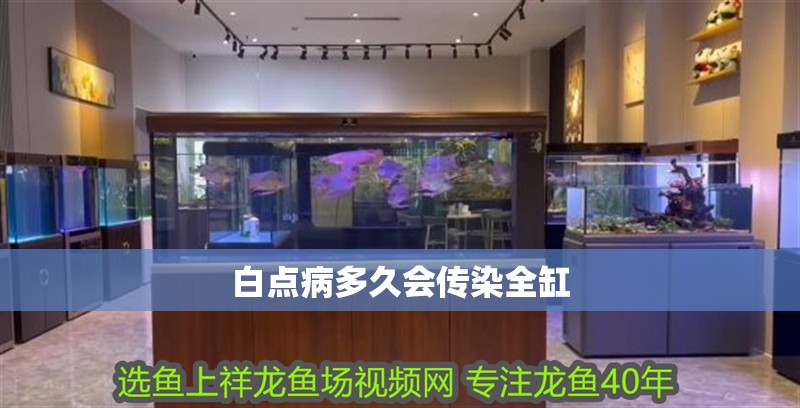 白點病多久會傳染全缸