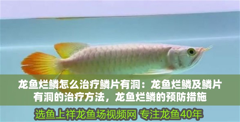 龍魚爛鱗怎么治療鱗片有洞：龍魚爛鱗及鱗片有洞的治療方法，龍魚爛鱗的預防措施