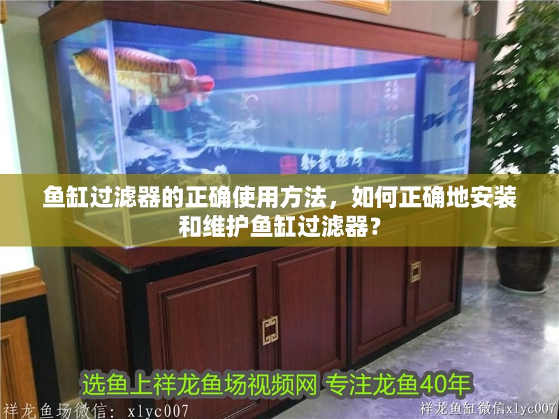魚缸過濾器的正確使用方法，如何正確地安裝和維護魚缸過濾器？ 魚缸過濾器的正確使用方法，如何正確地安裝和維護魚缸過濾器？ 魚缸百科