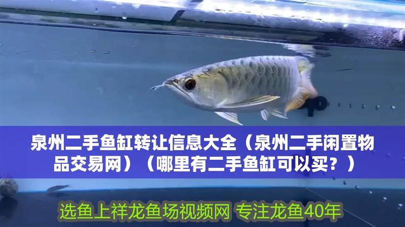 泉州二手魚缸轉讓信息大全（泉州二手閑置物品交易網）（哪里有二手魚缸可以買？）