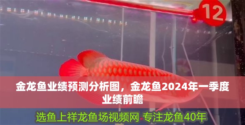 金龍魚業(yè)績預(yù)測分析圖，金龍魚2024年一季度業(yè)績前瞻