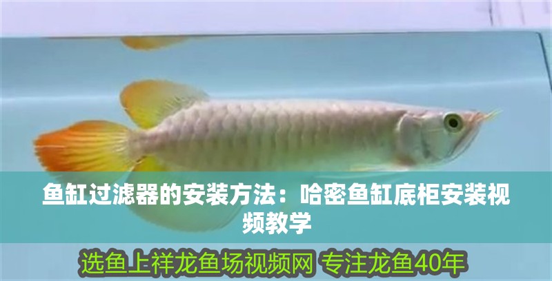 魚缸過濾器的安裝方法：哈密魚缸底柜安裝視頻教學(xué) 魚缸過濾器的安裝方法：哈密魚缸底柜安裝視頻教學(xué) 魚缸百科