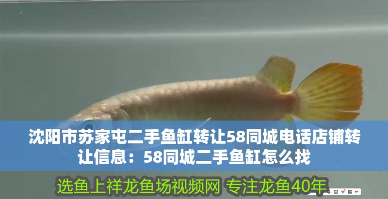 沈陽市蘇家屯二手魚缸轉讓58同城電話店鋪轉讓信息：58同城二手魚缸怎么找