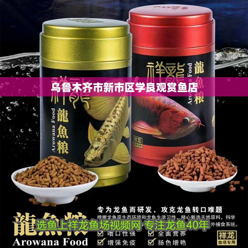 烏魯木齊市新市區學良觀賞魚店