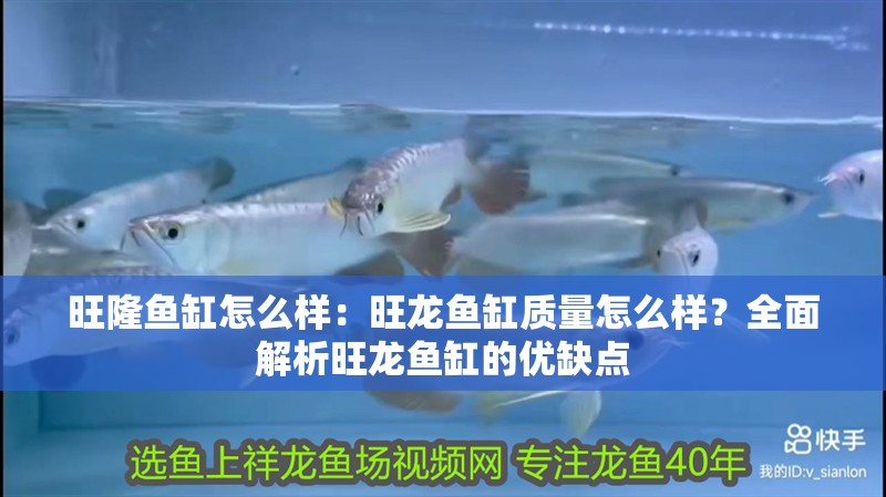 旺隆魚缸怎么樣：旺龍魚缸質量怎么樣？全面解析旺龍魚缸的優缺點